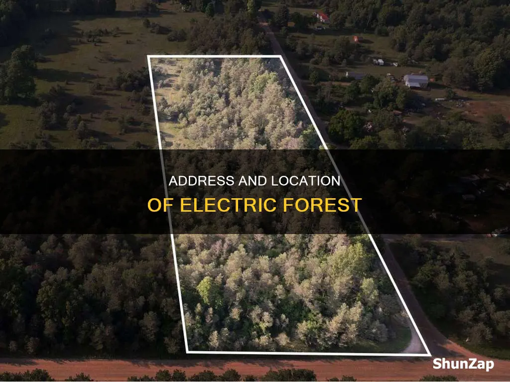what is the address of electric forest