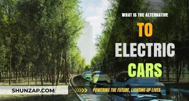 Beyond Electric: Exploring Sustainable Alternatives to Electric Vehicles