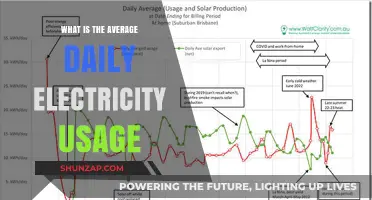 Electricity Usage: What's the Average Daily Consumption?