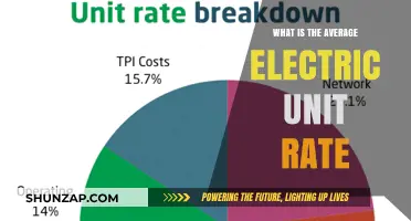 Understanding Your Electric Unit Rate and Costs