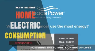 Electricity Usage: The Average Home's Power Consumption