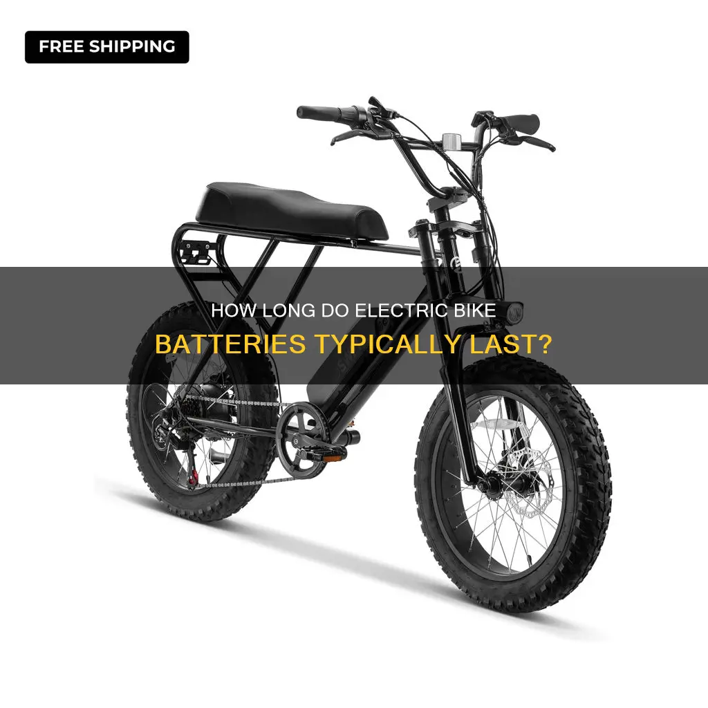 what is the average lifespan of a electric bike battery