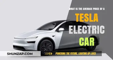 Exploring the Average Cost of Tesla Electric Vehicles Today