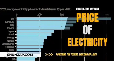 Electricity Pricing: What's the Average Cost?