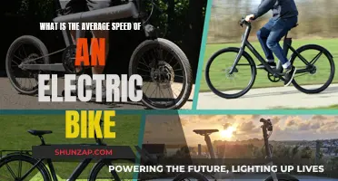 How Fast Can Electric Bikes Go?