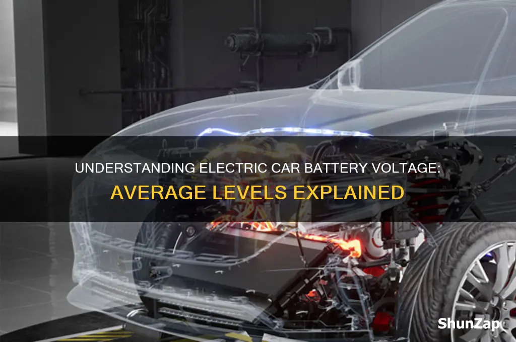 what is the average voltage on an electric car battery