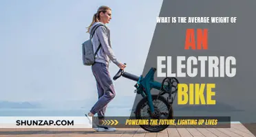 Electric Bike Weight: What's the Standard?