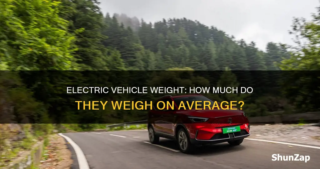 what is the average weight of an electric vehicle