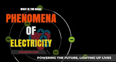 Electricity: Understanding the Basic Underlying Phenomena