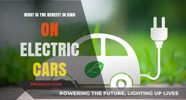 Electric Car Perks: Understanding Benefits in Kind for Eco-Friendly Drivers