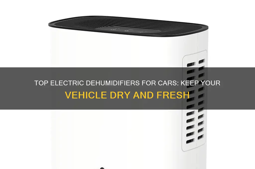 what is the best car electric dehumidifier