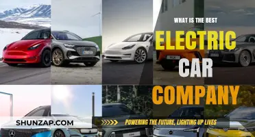 Top Electric Car Brands: Which Company Leads the EV Revolution?