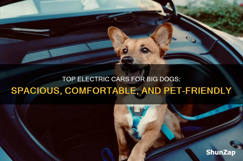 what is the best electric car for big dogs
