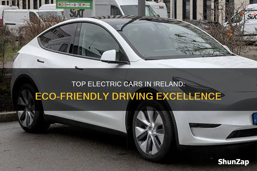 what is the best electric car in ireland