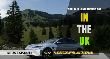 Top UK Electric Cars: Best Models for Eco-Friendly Driving