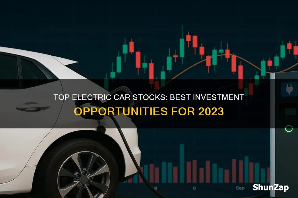 what is the best electric car stock to buy