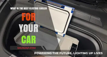 Top Electric Coolers for Cars: Keep Drinks Cold on the Go