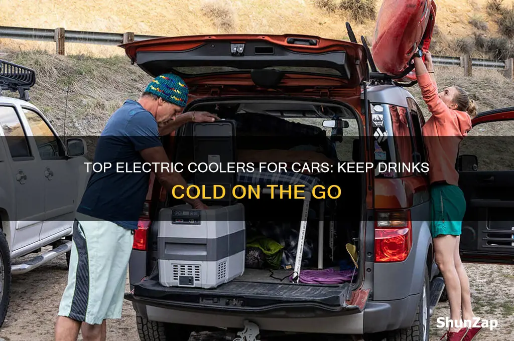 what is the best electric cooler for your car