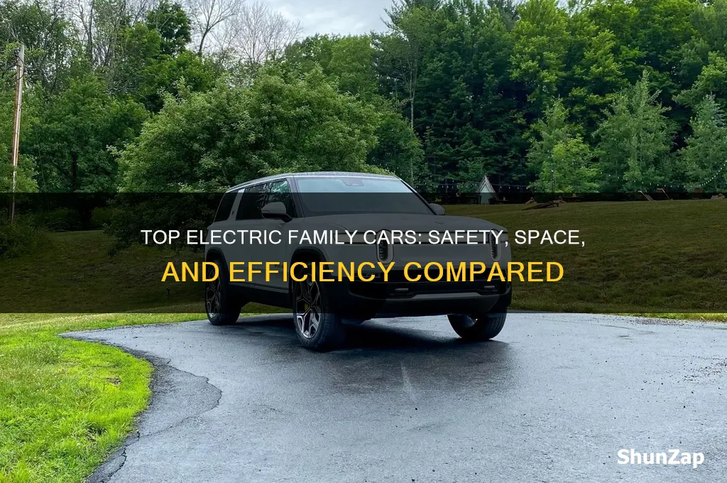 what is the best electric family car