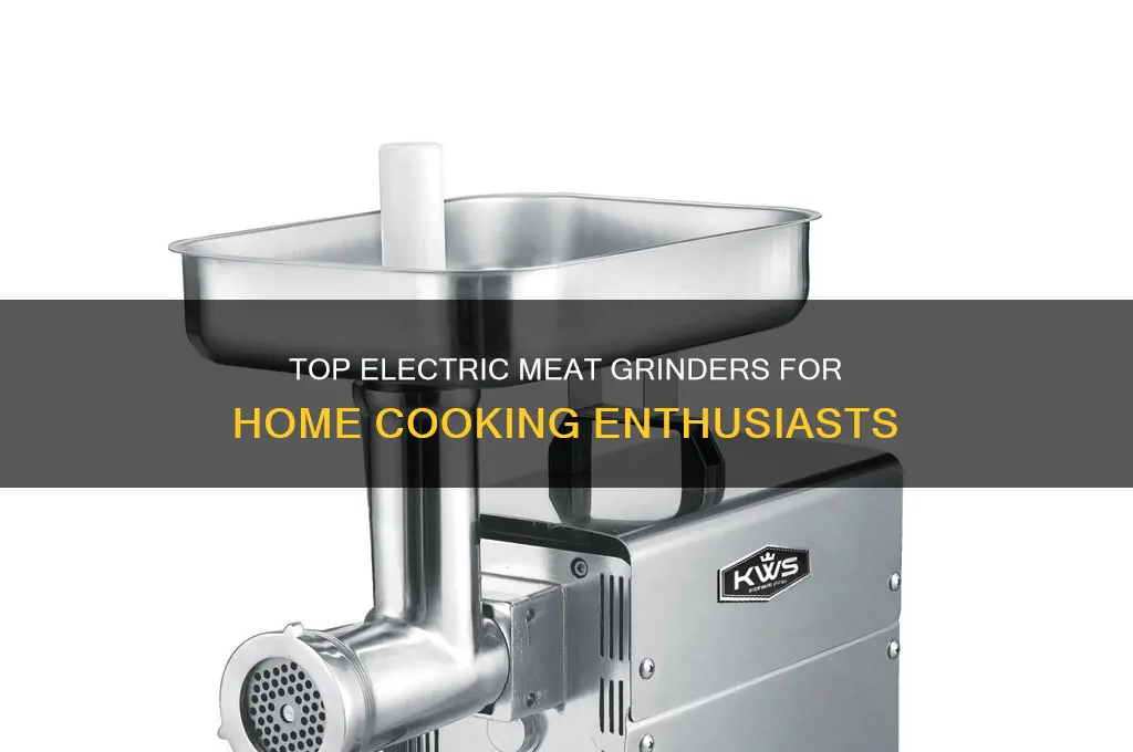 what is the best electric meat grinder for home use