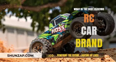 Top Electric RC Car Brands: Ultimate Guide for Enthusiasts