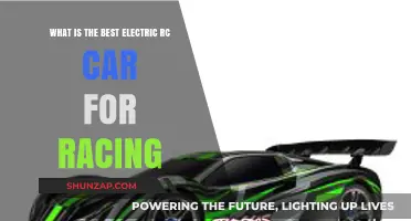 Top Electric RC Cars for High-Speed Racing Enthusiasts