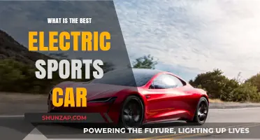 Top Electric Sports Cars: Performance, Speed, and Innovation Compared