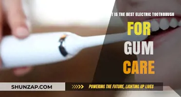 Top Electric Toothbrushes for Healthy Gums: Expert Picks & Reviews