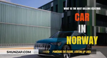 Norway's Top Electric Car: Unveiling the Best-Selling Model Dominating the Market