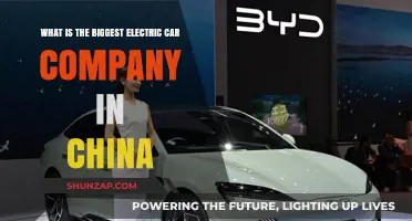 China's Leading Electric Car Manufacturer: Unveiling the Industry Giant