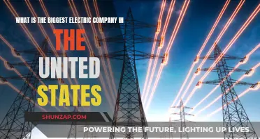 Unveiling the Giant: America's Largest Electric Utility Company