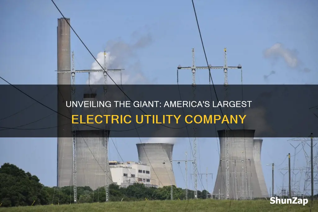 what is the biggest electric company in the united states