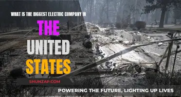 The US's Largest Electric Company: Powering America