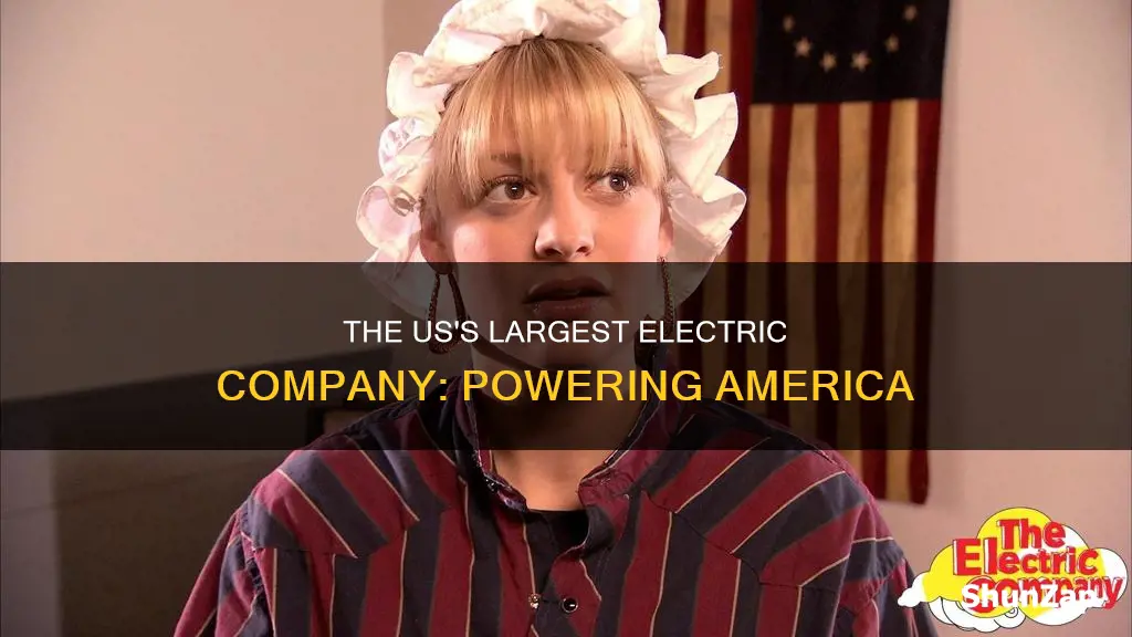 what is the biggest electric company in the united states