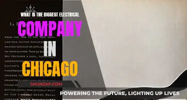 Electrical Giants of Chicago: Who's Leading the Pack?