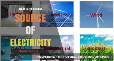 The World's Primary Electricity Source