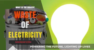 The Biggest Energy Drain: Wasted Electricity
