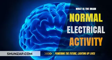 Understanding Brain Electricity: The Power Within