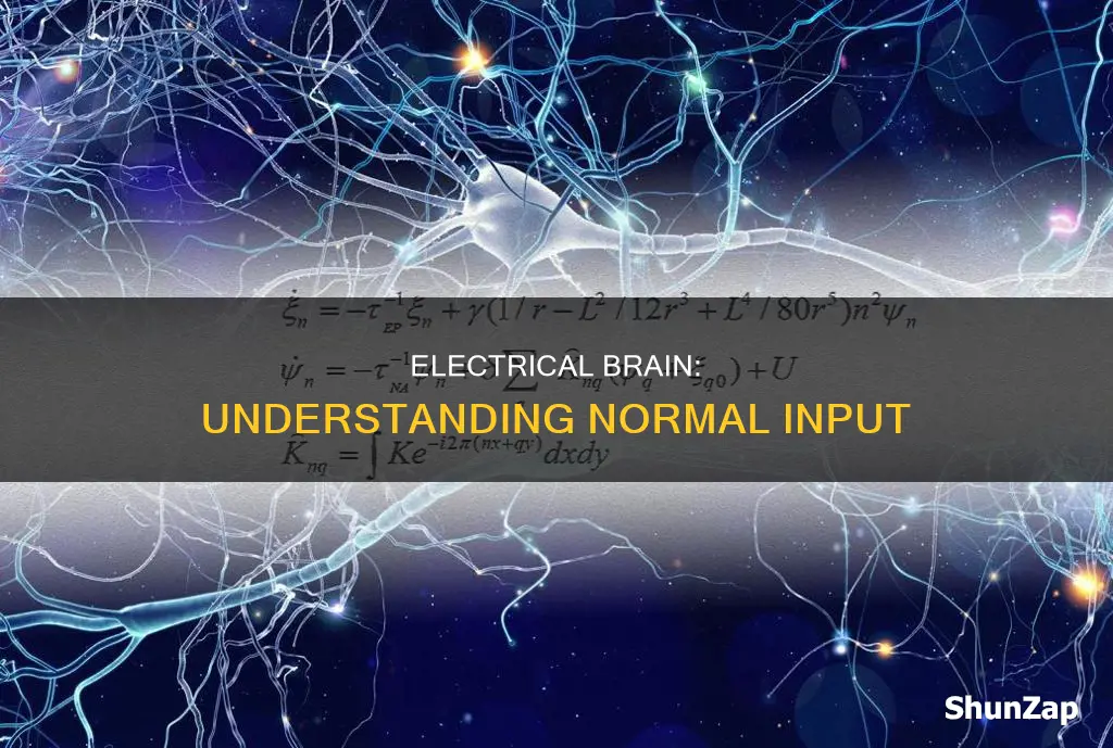 what is the brain normal electrical input
