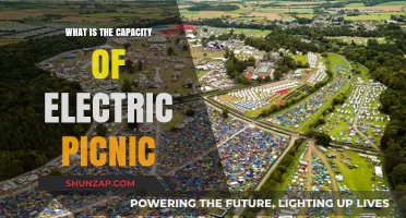 Electric Picnic: Massive Capacity, Massive Fun