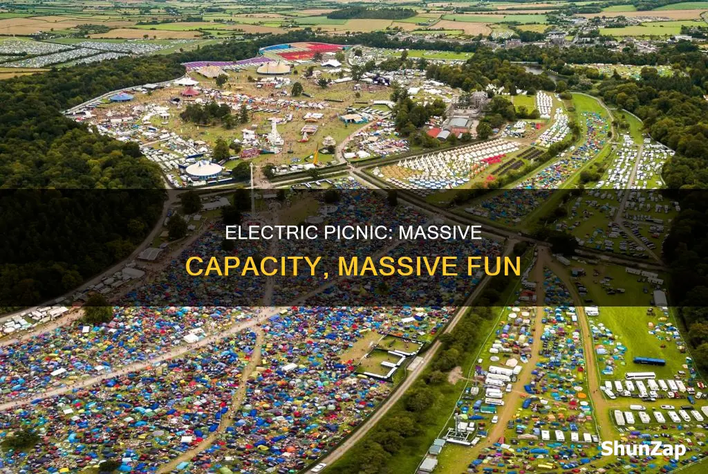 what is the capacity of electric picnic