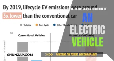 Unveiling the Green Impact: Electric Vehicles and Their Carbon Footprint