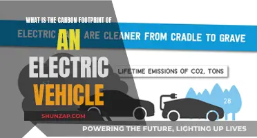 Electric Vehicles: Carbon Footprint Friend or Foe?