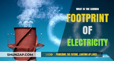 Electricity's Carbon Footprint: How Green is Your Energy?