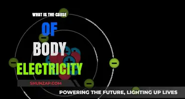 Body Electricity: Unlocking the Secrets of Our Bioelectricity