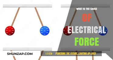 The Electrical Force: What's Behind the Attraction?