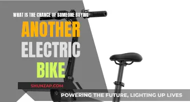 Electric Bike Repeat Purchases: What Are the Chances?