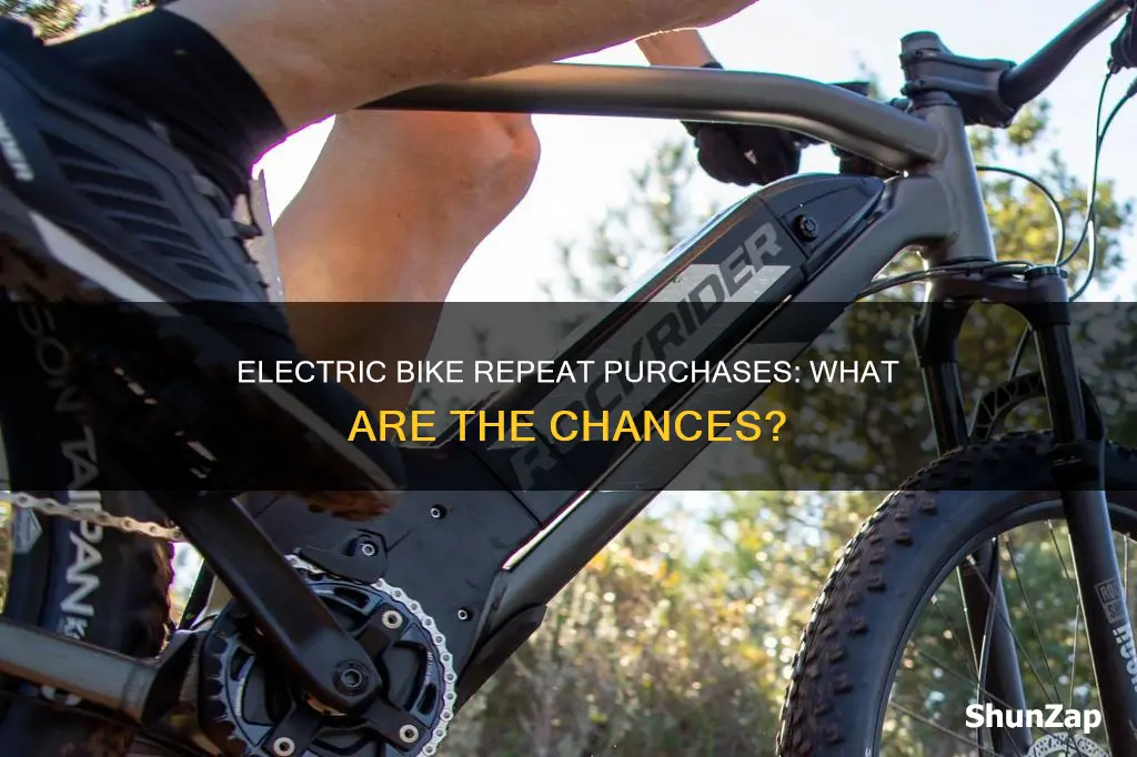 what is the chance of someone buying another electric bike