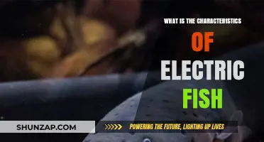 Electric Fish: Unique Characteristics and Abilities