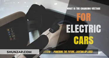 Understanding Electric Car Charging Voltage: A Comprehensive Guide for EV Owners